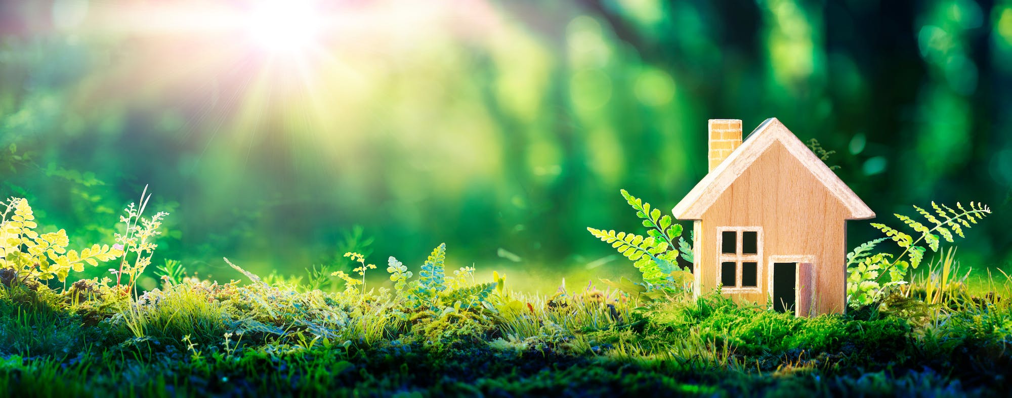 Tiny wooden home sitting on forest floor.